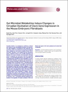 Gut Microbial Metabolites Induce Changes in Circadian Oscillation of Clock Gene Expression in the Mouse Embryonic Fibroblasts