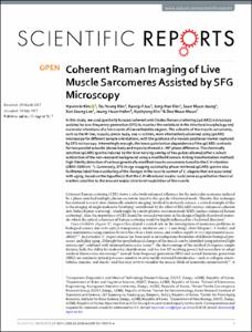 Coherent raman imaging of live muscle sarcomeres assisted by SFG microscopy