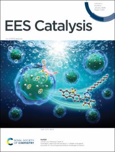 Synergistic dual-electron acceptors in linear conjugated polymers for boosting photocatalytic hydrogen evolution