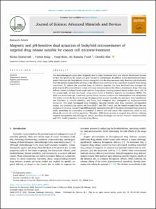 Magnetic and pH-Sensitive dual actuation of biohybrid microswimmer of targeted drug release suitable for cancer cell microenvironment