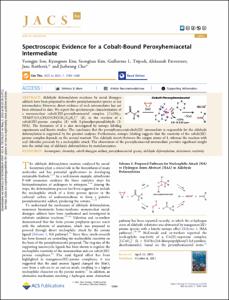 Spectroscopic Evidence for a Cobalt-Bound Peroxyhemiacetal Intermediate