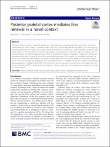 Posterior parietal cortex mediates fear renewal in a novel context