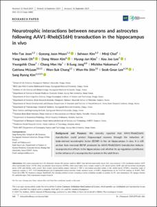 Neurotrophic interactions between neurons and astrocytes following AAV1-Rheb(S16H) transduction in the hippocampus in vivo
