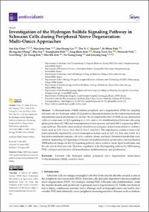 Investigation of the Hydrogen Sulfide Signaling Pathway in Schwann Cells during Peripheral Nerve Degeneration: Multi-Omics Approaches