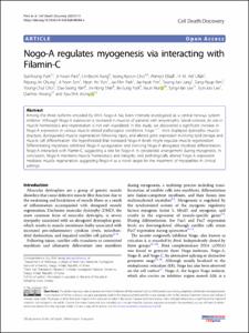 Nogo-A regulates myogenesis via interacting with Filamin-C