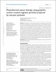 Photothermal cancer therapy using graphitic carbon-coated magnetic particles prepared by one-pot synthesis