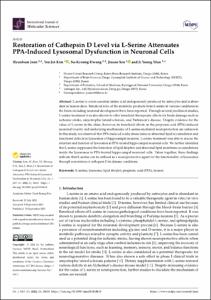 Restoration of Cathepsin D Level via L-Serine Attenuates PPA-Induced Lysosomal Dysfunction in Neuronal Cells