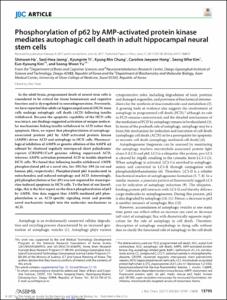 Phosphorylation of p62 by AMP-activated protein kinase mediates autophagic cell death in adult hippocampal neural stem cells