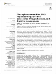 Glycosyltransferase-Like RSE1 Negatively Regulates Leaf Senescence Through Salicylic Acid Signaling in Arabidopsis