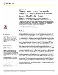 Olfactory Marker Protein Expression Is an Indicator of Olfactory Receptor-Associated Events in Non-Olfactory Tissues