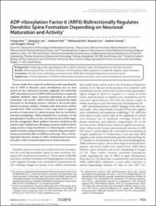 ADP-ribosylation Factor 6 (ARF6) Bidirectionally Regulates Dendritic Spine Formation Depending on Neuronal Maturation and Activity