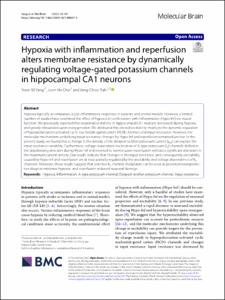 Hypoxia with inflammation and reperfusion alters membrane resistance by dynamically regulating voltage-gated potassium channels in hippocampal CA1 neurons
