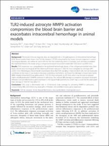 TLR2-induced astrocyte MMP9 activation compromises the blood brain barrier and exacerbates intracerebral hemorrhage in animal models