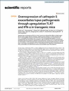 Overexpression of cathepsin S exacerbates lupus pathogenesis through upregulation TLR7 and IFN-α in transgenic mice