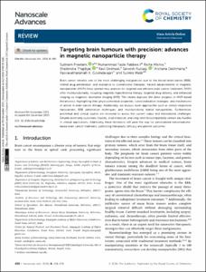 Targeting brain tumours with precision: advances in magnetic nanoparticle therapy