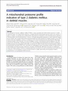 A mitochondrial proteome profile indicative of type 2 diabetes mellitus in skeletal muscles
