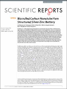 Biscrolled Carbon Nanotube Yarn Structured Silver-Zinc Battery