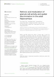 Retinoic acid modulation of granule cell activity and spatial discrimination in the adult hippocampus