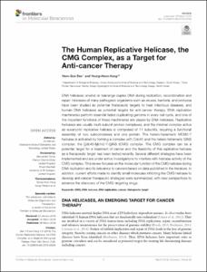 The human replicative helicase, the CMG complex, as a target for anti-cancer therapy