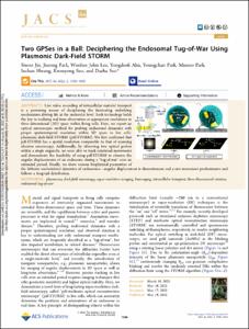 Two GPSes in a Ball: Deciphering the Endosomal Tug-of-War Using Plasmonic Dark-Field STORM