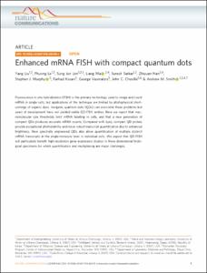 Enhanced mRNA FISH with compact quantum dots