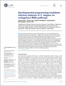 Developmental programming modulates olfactory behavior in C. elegans via endogenous RNAi pathways