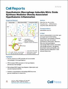 Hypothalamic Macrophage Inducible Nitric Oxide Synthase Mediates Obesity-Associated Hypothalamic Inflammation