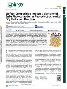 Surface Composition Impacts Selectivity of ZnTe Photocathodes in Photoelectrochemical CO2 Reduction Reaction