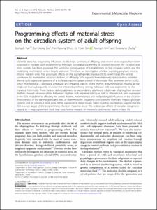Programming effects of maternal stress on the circadian system of adult offspring