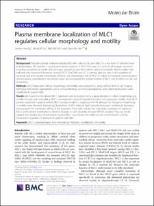 Plasma membrane localization of MLC1 regulates cellular morphology and motility