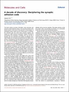 A decade of discovery: Deciphering the synaptic adhesion code