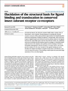 Elucidation of the structural basis for ligand binding and translocation in conserved insect odorant receptor co-receptors
