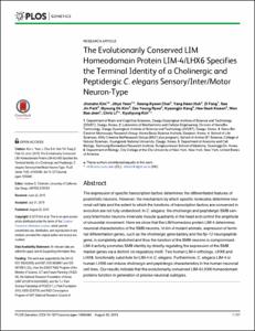 The Evolutionarily Conserved LIM Homeodomain Protein LIM-4/LHX6 Specifies the Terminal Identity of a Cholinergic and Peptidergic C. elegans Sensory/Inter/Motor Neuron-Type