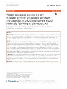 Valosin-containing protein is a key mediator between autophagic cell death and apoptosis in adult hippocampal neural stem cells following insulin withdrawal