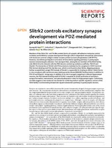 Slitrk2 controls excitatory synapse development via PDZ-mediated protein interactions