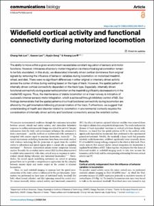 Widefield cortical activity and functional connectivity during motorized locomotion