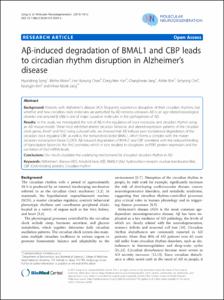 ABeta-induced degradation of BMAL1 and CBP leads to circadian rhythm disruption in Alzheimer's disease