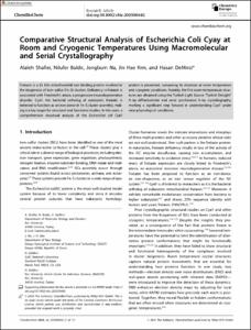 Comparative Structural Analysis of Escherichia Coli Cyay at Room and Cryogenic Temperatures Using Macromolecular and Serial Crystallography