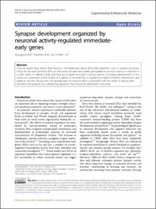 Synapse development organized by neuronal activity-regulated immediate-early genes