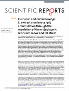 Curcumin and Curcuma longa L. extract ameliorate lipid accumulation through the regulation of the endoplasmic reticulum redox and ER stress