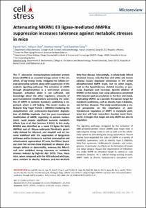 Attenuating MKRN1 E3 ligase-mediated AMPKα suppression increases tolerance against metabolic stresses in mice