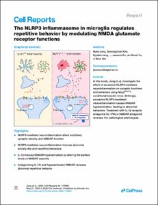 The NLRP3 inflammasome in microglia regulates repetitive behavior by modulating NMDA glutamate receptor functions