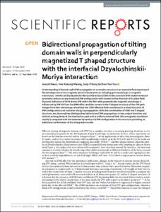 Bidirectional propagation of tilting domain walls in perpendicularly magnetized T shaped structure with the interfacial Dzyaloshinskii-Moriya interaction