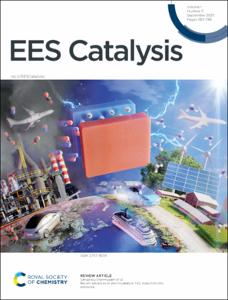 Recent advances in electrocatalytic NOx reduction into ammonia