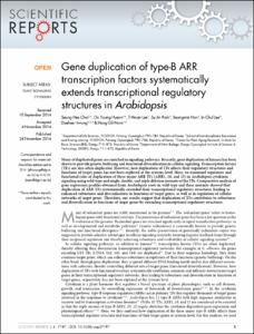Gene duplication of type-B ARR transcription factors systematically extends transcriptional regulatory structures in Arabidopsis