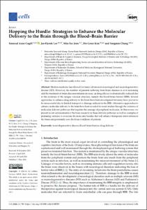Hopping the Hurdle: Strategies to Enhance the Molecular Delivery to the Brain through the Blood-Brain Barrier