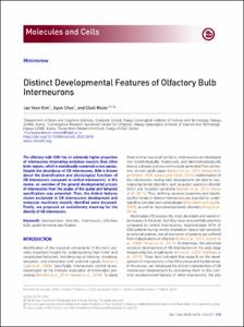 Distinct Developmental Features of Olfactory Bulb Interneurons