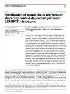 Specification of neural circuit architecture shaped by context-dependent patterned LAR-RPTP microexons