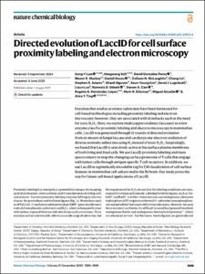 Directed evolution of LaccID for cell surface proximity labeling and electron microscopy