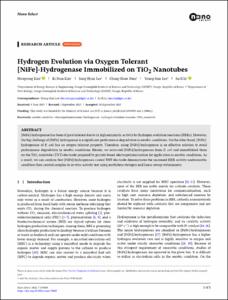 Hydrogen Evolution via Oxygen Tolerant [NiFe]-Hydrogenase Immobilized on TiO2 Nanotubes